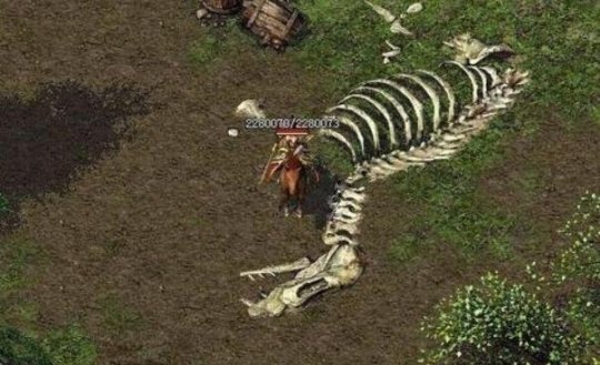 11.jpg