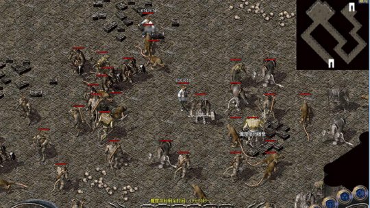 11.jpg