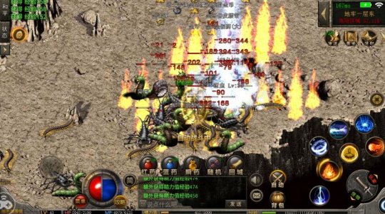11.jpg